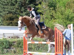 IMG_0634_web